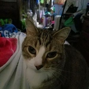 Meet your Posher, Christine