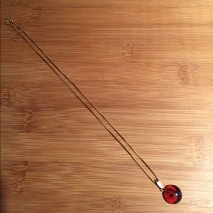 Amber Necklace with 14K Gold Chain