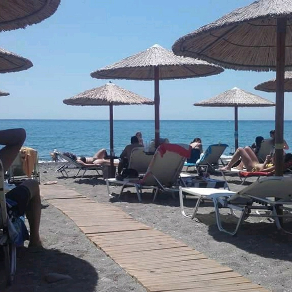 Meet your Posher, Sadie