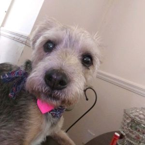 Meet your Posher, Karly