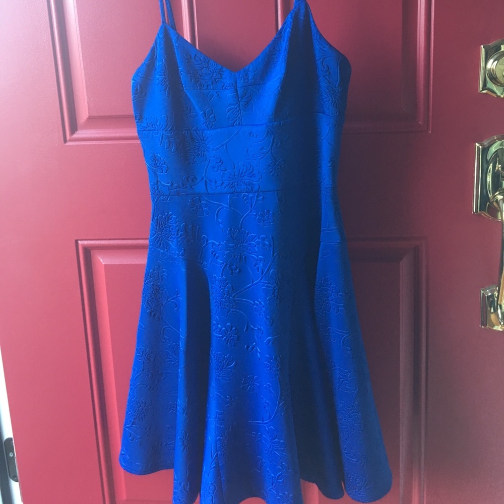 Ali Ro dress