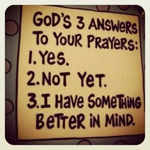 Meet your Posher, Carole