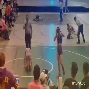 Meet your Posher, Dominic