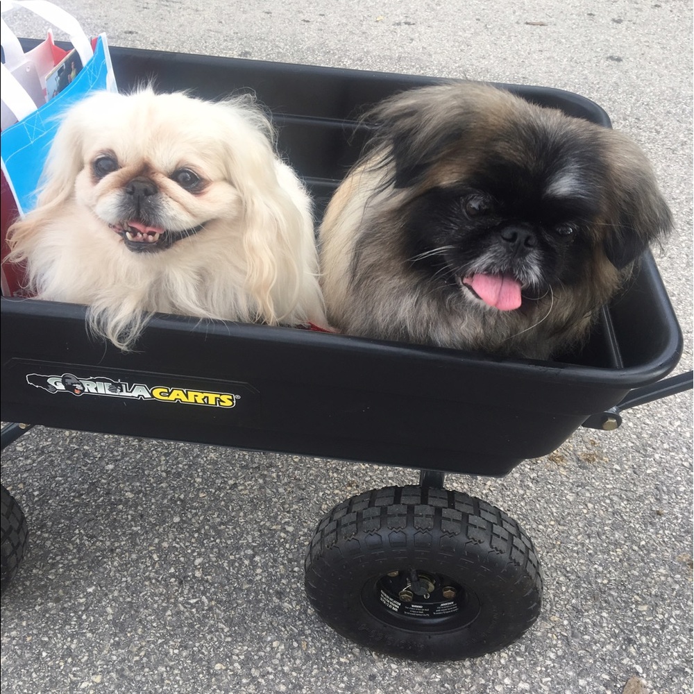 Meet your Posher, Christina