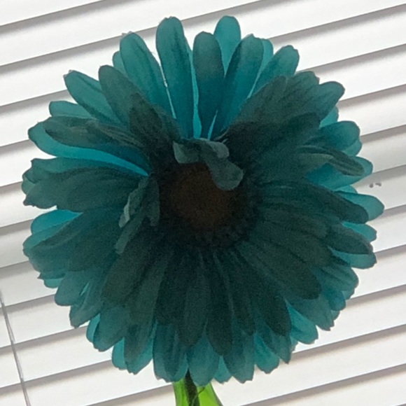 Meet your Posher, Brandy - Picture 1 of 1