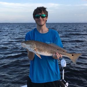 Meet your Posher, Joey