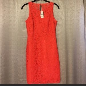NWT J. Crew Factory Red Floral Lace Shift Dress