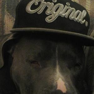 Meet your Posher, Jayden