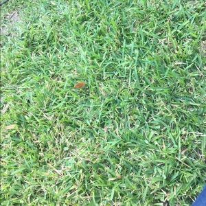 Meet your Posher, Missy