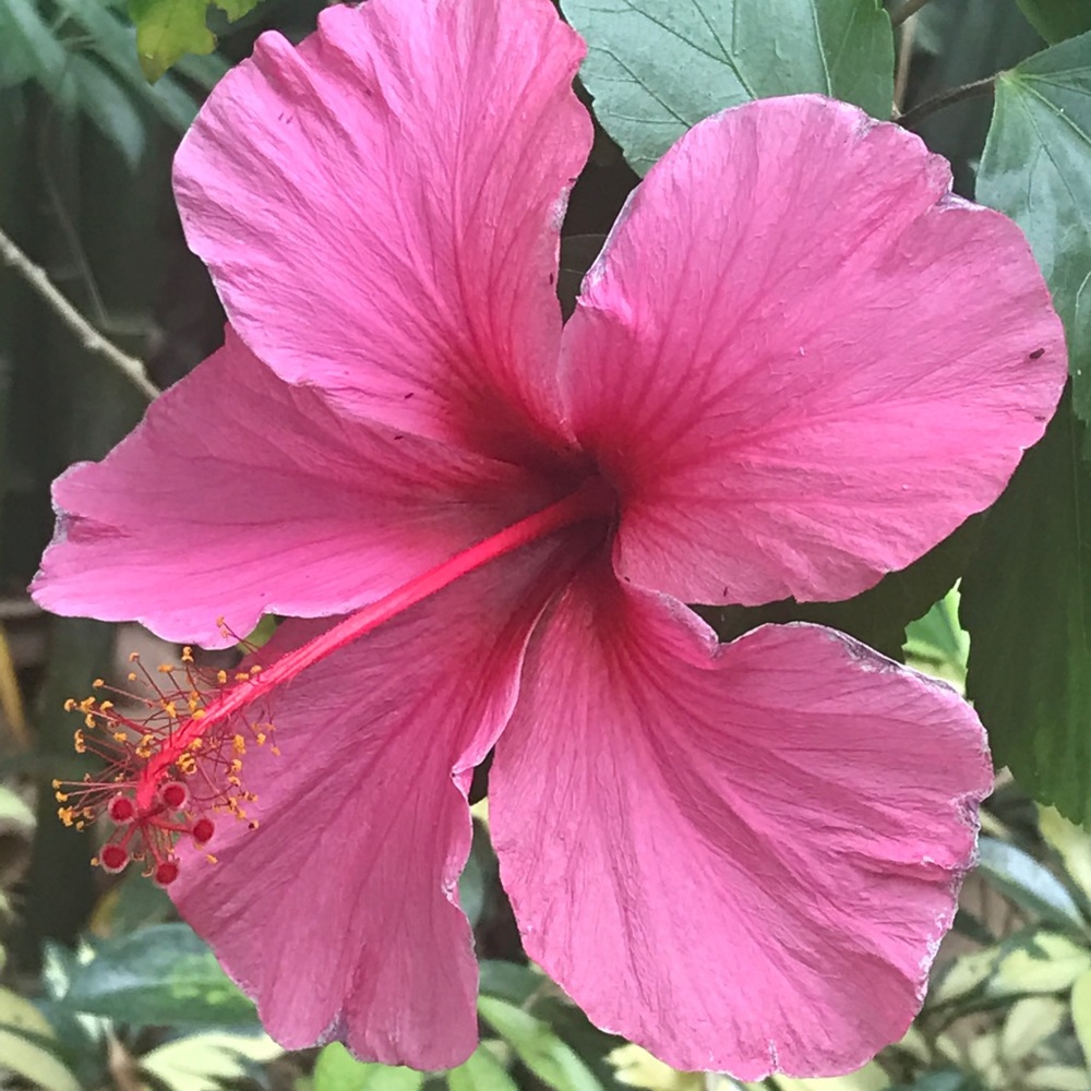 Meet your Posher, Audrina