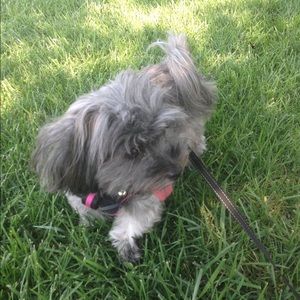 Meet your Posher, Kate