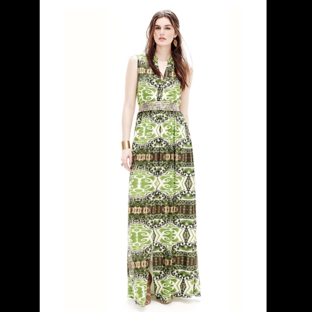 NWT Alice & Olivia Marianna Garden Print Dress