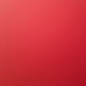 Meet your Posher, Ariel