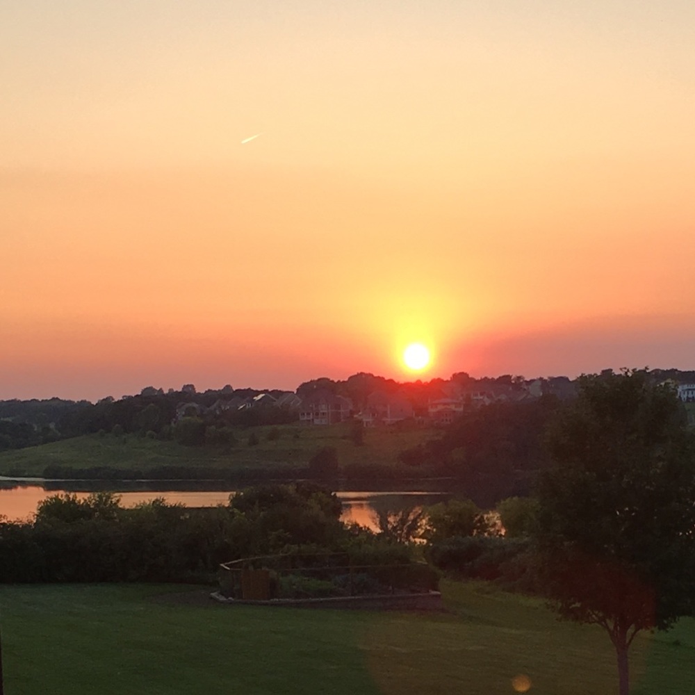 Meet your Posher, Hollie