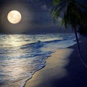 Meet your Posher, Ginger