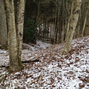 Meet your Posher, Corey