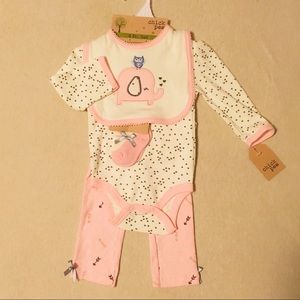 Pink Elephants and Hearts 4pc Set