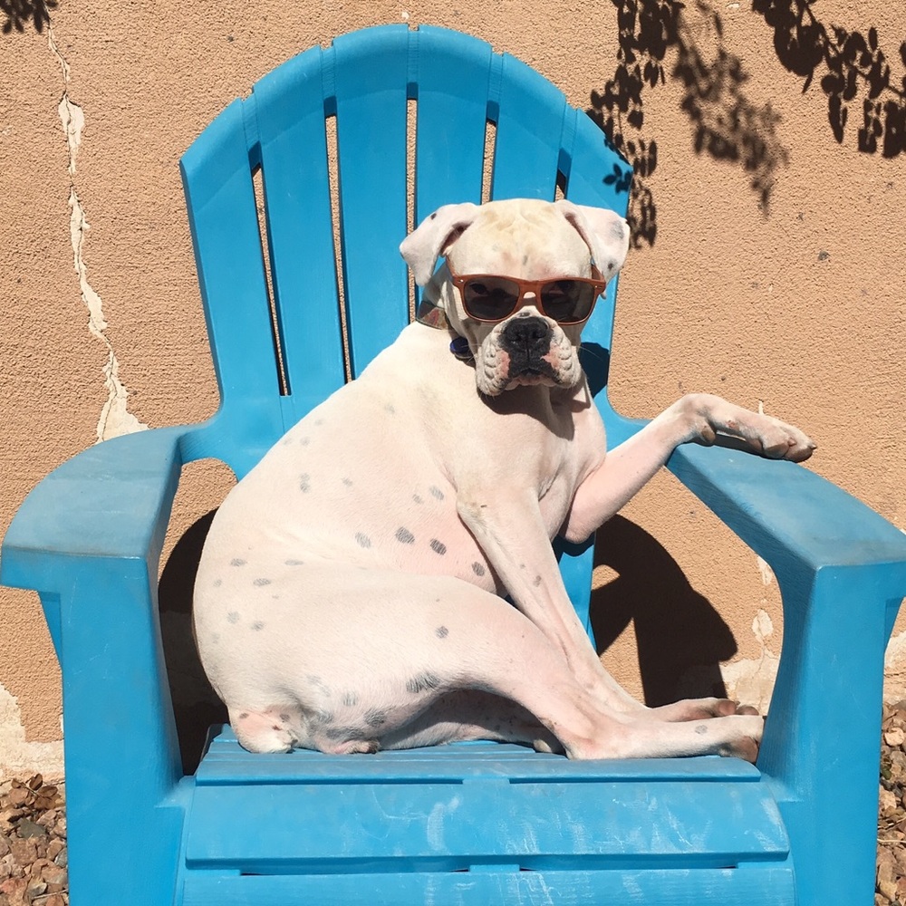 Meet your Posher, Heather