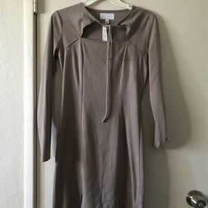 Grey velvet mini dress