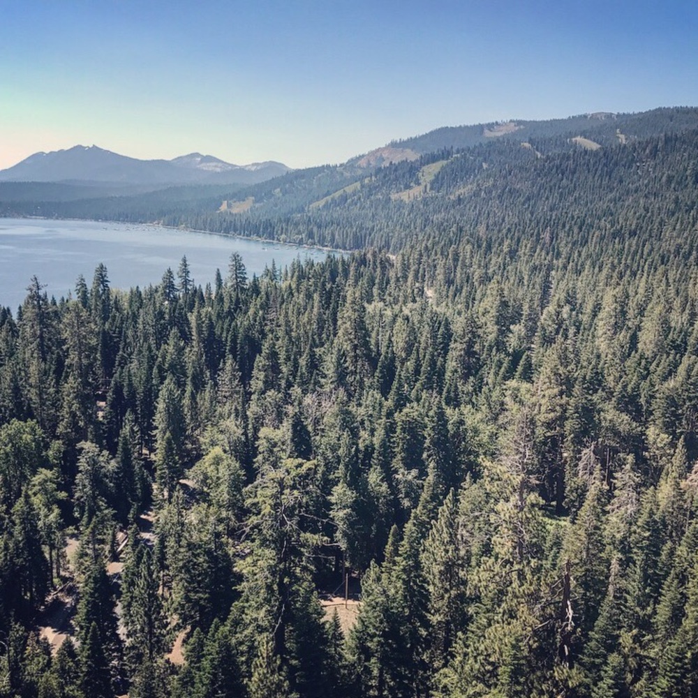 Meet your Posher, Milica