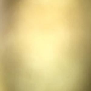 Meet your Posher, Parker