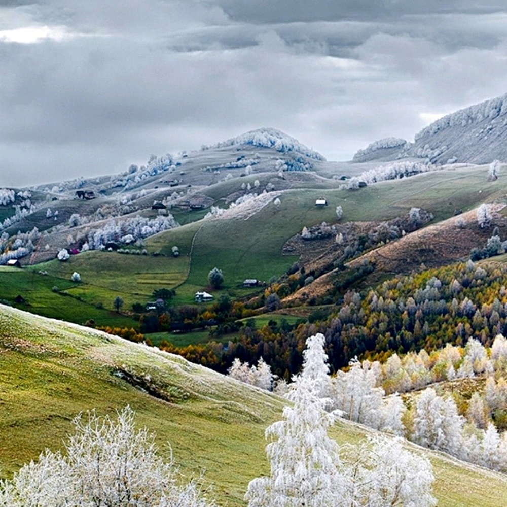 Meet your Posher, Ss