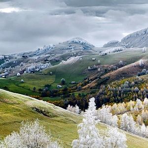 Meet your Posher, Ss