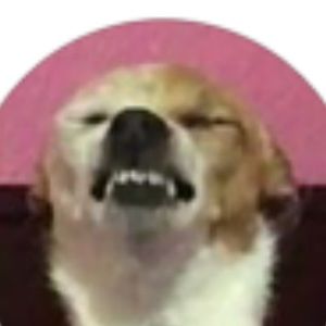 Meet your Posher, Alison