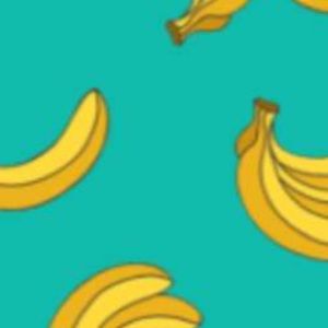 Meet your Posher, Sofia