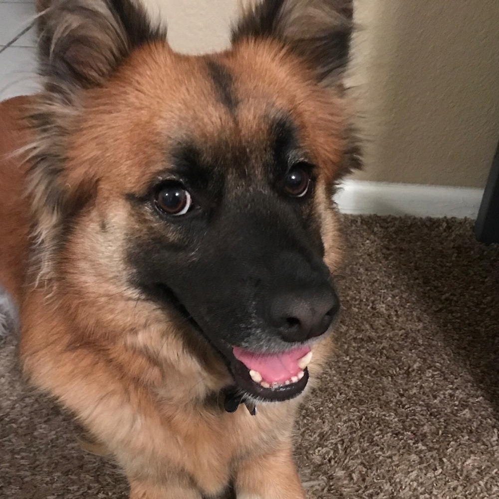 Meet your Posher, Hayley