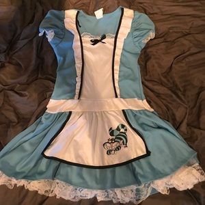 Alice in wonderland costume
