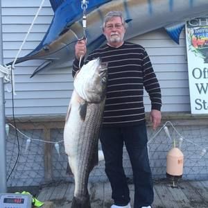 Meet your Posher, Dennis