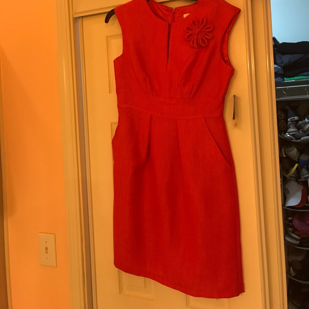 Pretty pink dress. Perfect for weddings and work