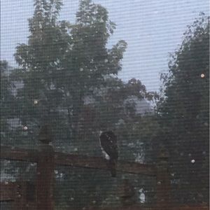 Meet your Posher, Rachelle