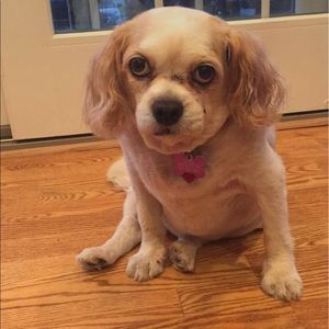 Meet your Posher, Jean