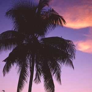 Meet your Posher, Doña