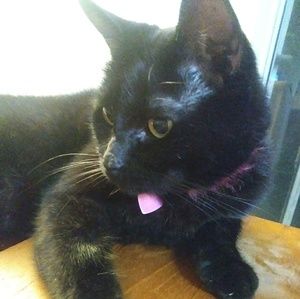 Meet your Posher, Jonna