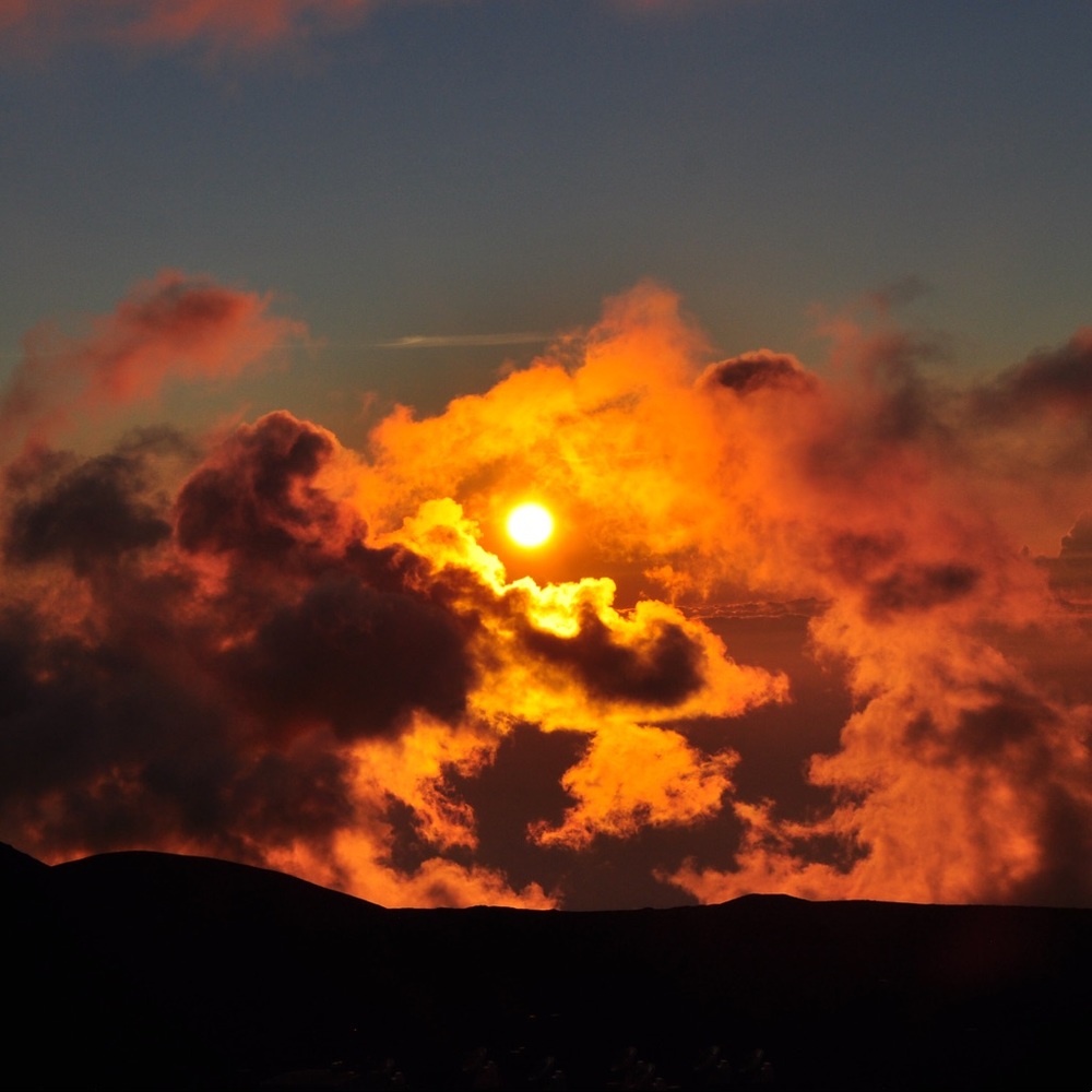 Meet your Posher, Sa