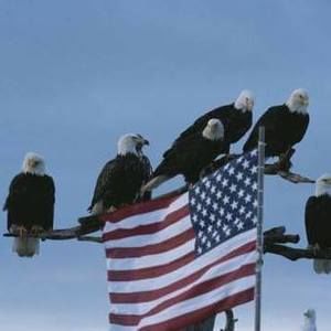 Meet your Posher, Joni