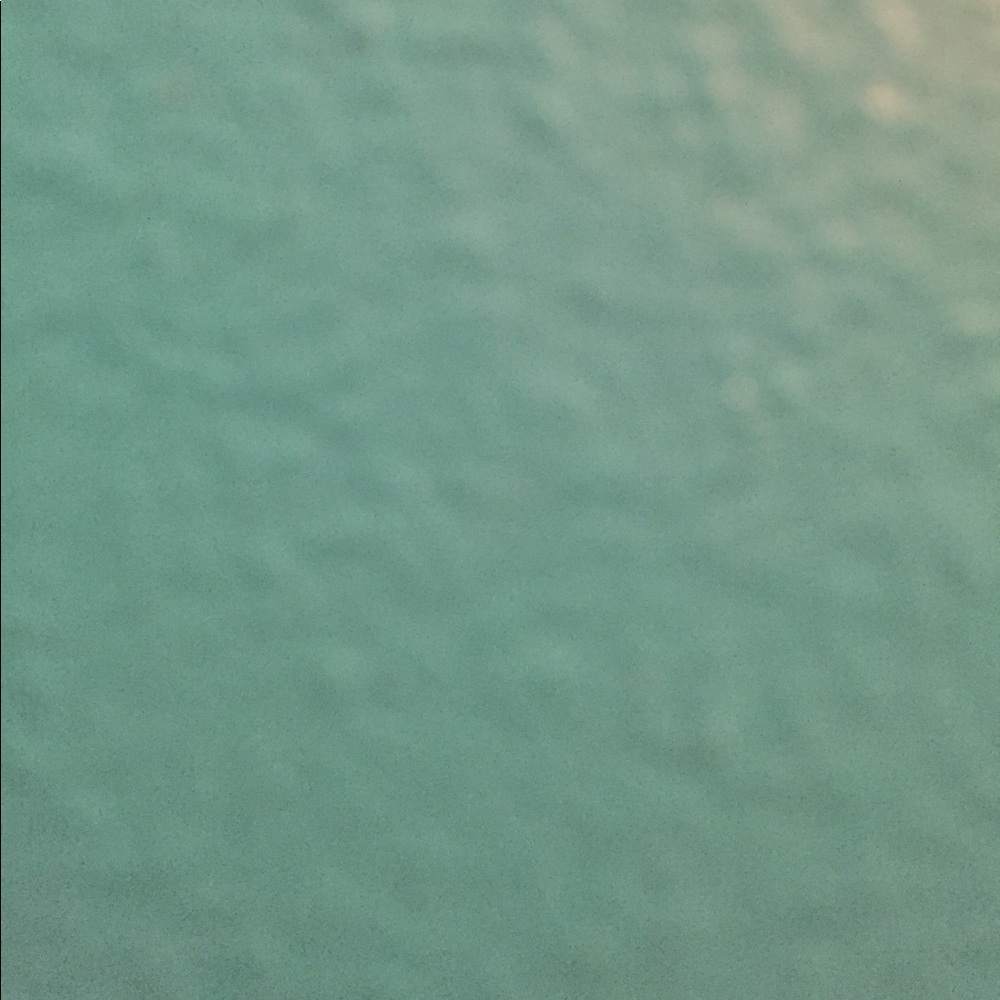 Meet your Posher, Riley