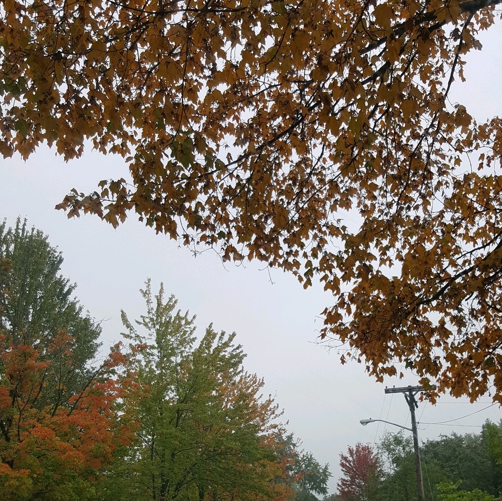 Meet your Posher, Glenda