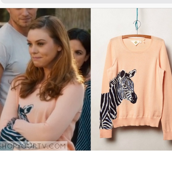 Anthropologie Sweaters - Anthropologie hwr large Peach Zebra sweater