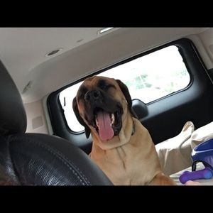 Meet your Posher, Lacie