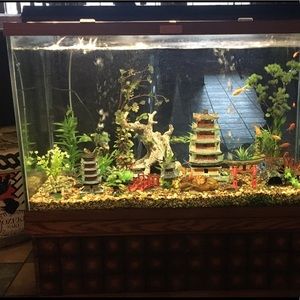 Meet your Posher, Laurie