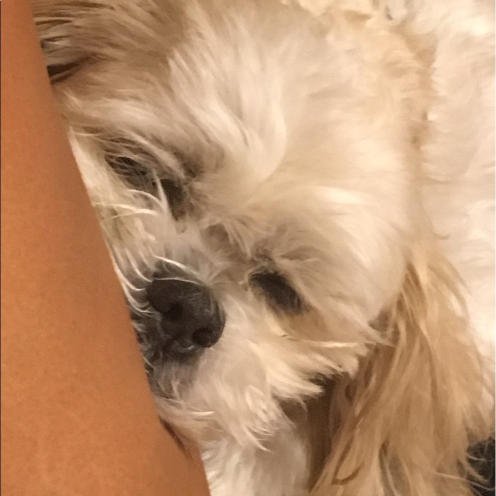 Meet your Posher, Nick