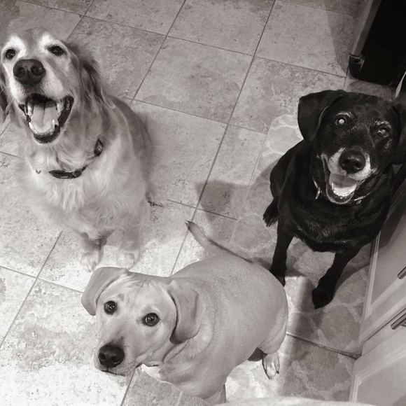 Meet your Posher, Caitlyn - Picture 1 of 1