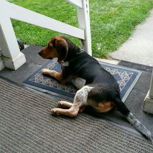 Meet your Posher, Joy