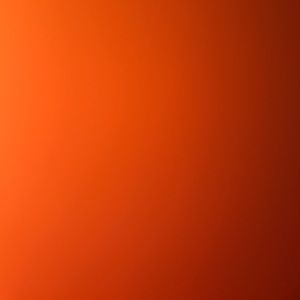 Meet your Posher, Hdjdjd