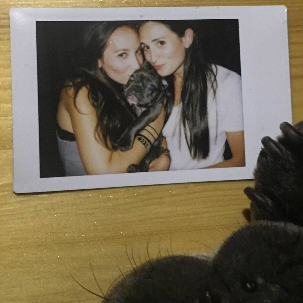 Meet your Posher, Amanda