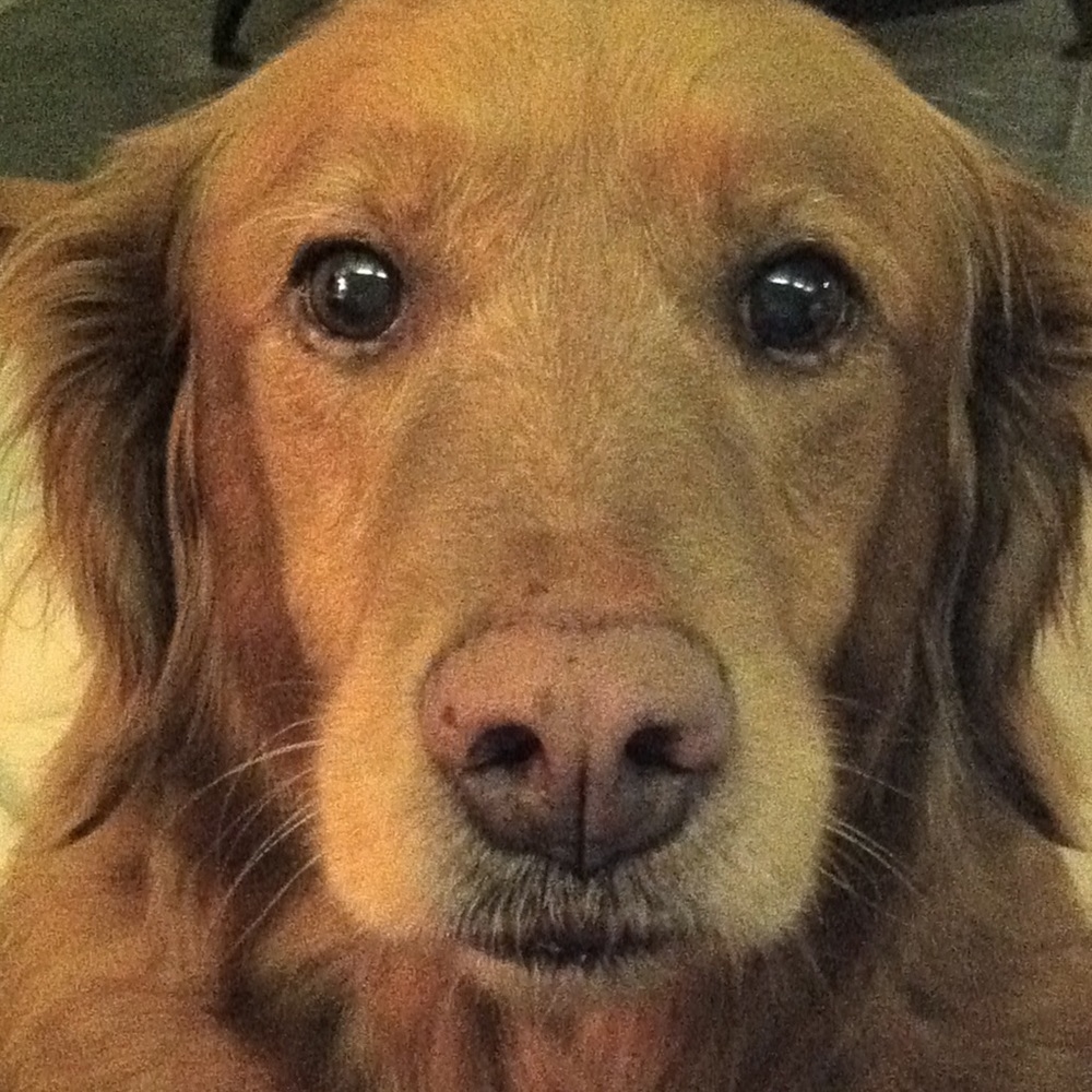 Meet your posher (Amy)